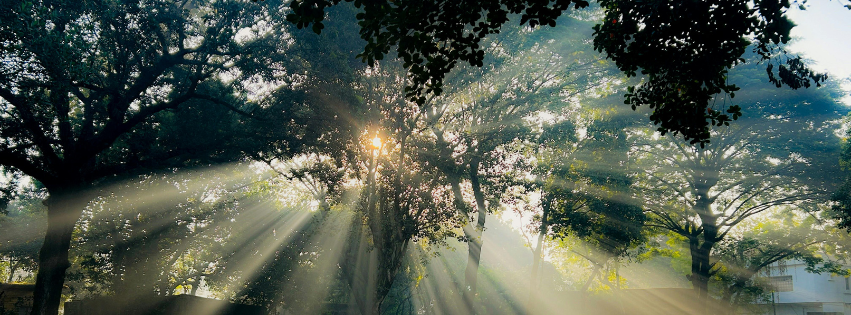 Healing After a Season of Survival Mode